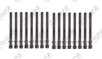 КОМПЛЕКТ БОЛТОВ (ГБЦ) TG-CHB029-SET * Ti•GUAR